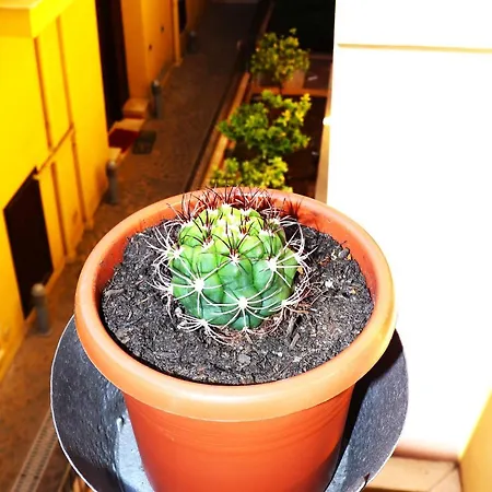Apartment I Vicini Del Re *